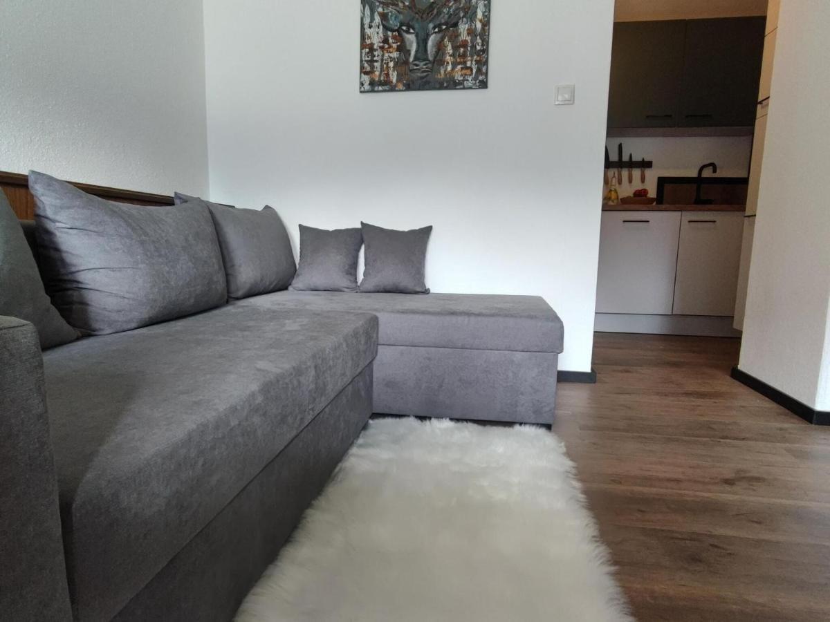 Great Apartment Near The Ski Area Hippach Luaran gambar